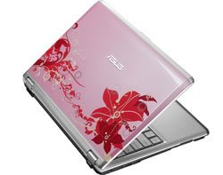 Asus pink laptop 