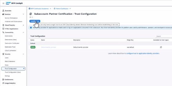 SAP Cloud Identity Services Screenshot