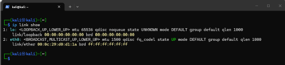 Untersuchung des Netzwerkverkehrs in VLANs mit ip link.