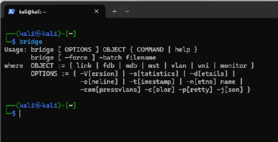 Mit  ip link und bridge Informationen zu Netzwerkschnittstellen und Bridges anzeigen.