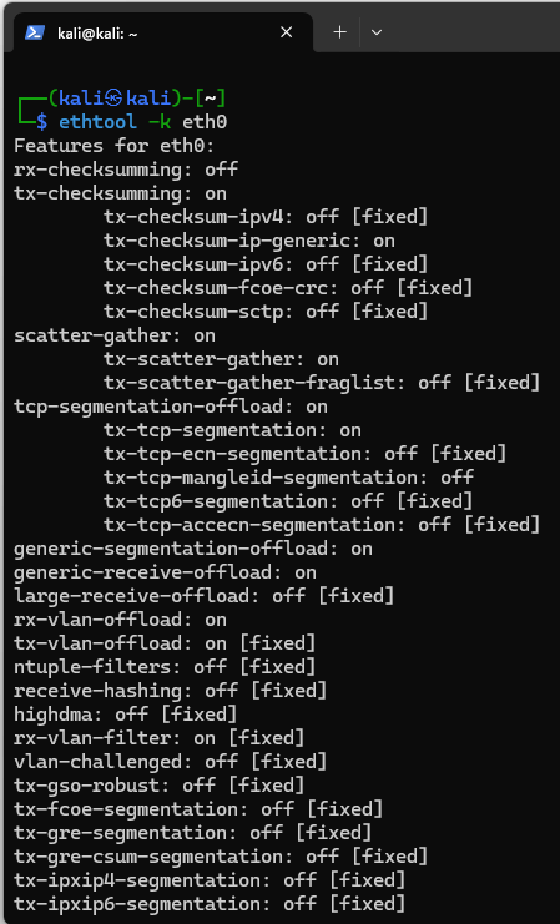 Anzeigen der Offload-Funktionen eines Interface-Treibers mit ethtool.
