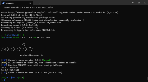 Naabu für die Analyse von Netzwerken und das Identifizieren von offenen Ports.