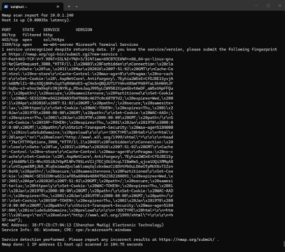 Auslesen von Informationen im Netzwerk mit Nmap und Naabu.