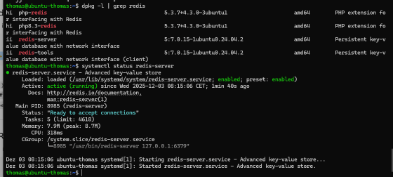Abbildung 4: Die Ausgabe zeigt, dass Redis und die PHP-Erweiterung für Redis installiert sind und der Dienst auf dem Server aktiv läuft.
