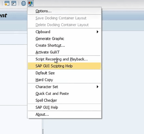 SAP-Skripting im SAP-Client aktivieren Screenshot